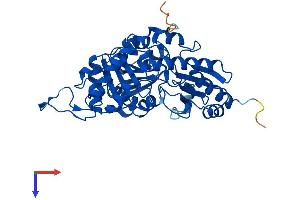 AlphaFold protein structure predicition of Human Recombinant CTH Protein, UniprotID P32929