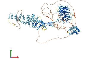 AlphaFold protein structure predicition of Mouse Recombinant Sec31b Protein, UniprotID Q3TZ89