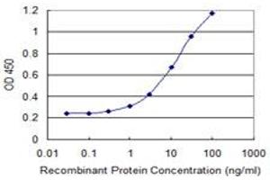 anti-RIO Kinase 2 (RIOK2) (AA 453-551) antibody