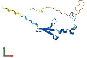 AlphaFold protein structure predicition of Mouse Recombinant Eif4ebp2 Protein, UniprotID P70445