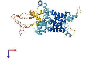 AlphaFold protein structure predicition of Mouse Recombinant Slc25a39 Protein, UniprotID Q9D8K8