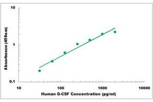 Colony Stimulating Factor 3 (Granulocyte) (CSF3) ELISA Kit