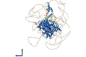 AlphaFold protein structure predicition of Mouse Recombinant Tut7 Protein, UniprotID Q5BLK4