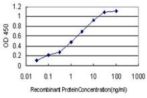 Detection limit for recombinant GST tagged ANXA5 is approximately 0. (Annexin V anticorps  (AA 1-320))