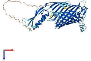 AlphaFold protein structure predicition of Human Recombinant SAMM50 Protein, UniprotID Q9Y512