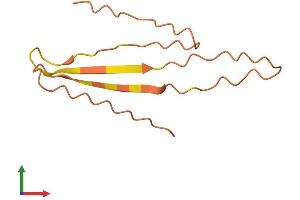 AlphaFold protein structure predicition of Human Recombinant LINC01587 Protein, UniprotID Q99440