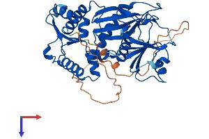 AlphaFold protein structure predicition of Human Recombinant ITPK1 Protein, UniprotID Q13572
