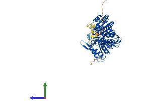 AlphaFold protein structure predicition of Human Recombinant PLD5 Protein, UniprotID Q8N7P1