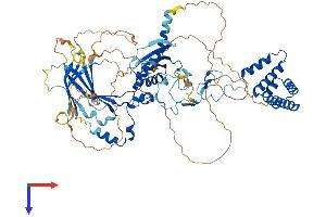 AlphaFold protein structure predicition of Mouse Recombinant Suz12 Protein, UniprotID Q80U70