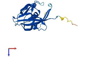 AlphaFold protein structure predicition of Human Recombinant NUDT15 Protein, UniprotID Q9NV35