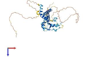 AlphaFold protein structure predicition of Mouse Recombinant Dnttip1 Protein, UniprotID Q99LB0