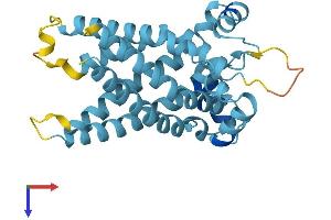 AlphaFold protein structure predicition of Mouse Recombinant Slc25a45 Protein, UniprotID Q8CFJ7