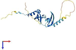 AlphaFold protein structure predicition of Mouse Recombinant Cbx1 Protein, UniprotID P83917