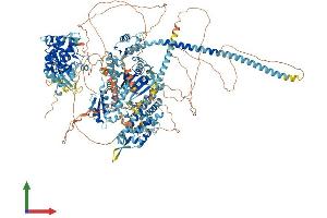 AlphaFold protein structure predicition of Mouse Recombinant Myo3a Protein, UniprotID Q8K3H5