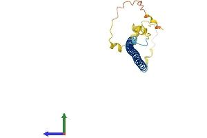 AlphaFold protein structure predicition of Mouse Recombinant Jdp2 Protein, UniprotID P97875