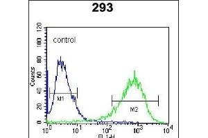 ITPKB Antibody (N-term) (ABIN652430 and ABIN2842237) flow cytometric analysis of 293 cells (right histogram) compared to a negative control cell (left histogram). (ITPKB anticorps  (N-Term))