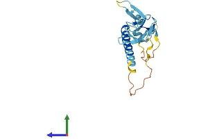 AlphaFold protein structure predicition of Mouse Recombinant Siva1 Protein, UniprotID O54926