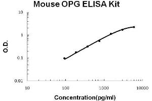 Mouse OPG PicoKine ELISA Kit standard curve