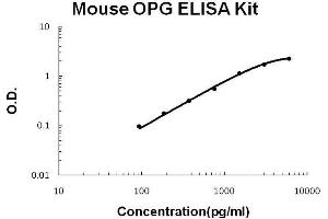 Mouse OPG PicoKine ELISA Kit standard curve