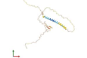 AlphaFold protein structure predicition of Mouse Recombinant Trap1a Protein, UniprotID P19473 (Trap1a Protein (AA 1-224) (His tag))