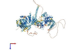 AlphaFold protein structure predicition of Mouse Recombinant Map3k15 Protein, UniprotID A2AQW0
