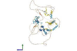 AlphaFold protein structure predicition of Human Recombinant CKAP2 Protein, UniprotID Q8WWK9