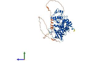 AlphaFold protein structure predicition of Mouse Recombinant Clk1 Protein, UniprotID P22518