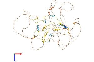 AlphaFold protein structure predicition of Human Recombinant MAP6 Protein, UniprotID Q96JE9