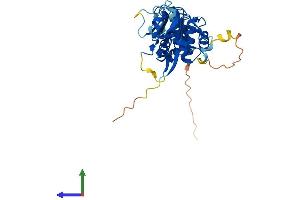 AlphaFold protein structure predicition of Mouse Recombinant Dusp12 Protein, UniprotID Q9D0T2