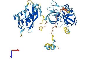 AlphaFold protein structure predicition of Mouse Recombinant Ncf1 Protein, UniprotID Q09014