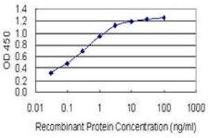 Detection limit for recombinant GST tagged HOXB6 is 0. (HOXB6 anticorps  (AA 1-57))
