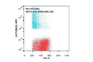 Flow Cytometry of Mouse anti-AKT3 antibody.