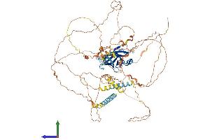AlphaFold protein structure predicition of Human Recombinant PPP1R3F Protein, UniprotID Q6ZSY5
