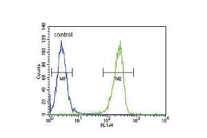 Flow cytometric analysis of A2058 cells (right histogram) compared to a negative control cell (left histogram).