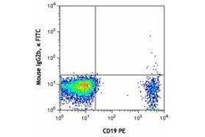 Flow Cytometry (FACS) image for anti-Chemokine (C-C Motif) Receptor 6 (CCR6) antibody (FITC) (ABIN2661554) (CCR6 anticorps  (FITC))