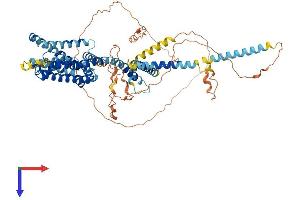 AlphaFold protein structure predicition of Human Recombinant KCNQ4 Protein, UniprotID P56696