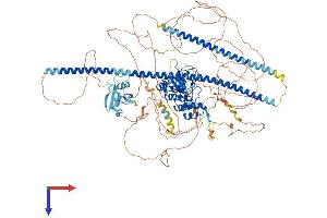 AlphaFold protein structure predicition of Human Recombinant TP53BP2 Protein, UniprotID Q13625
