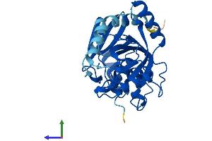 AlphaFold protein structure predicition of Mouse Recombinant Pnp Protein, UniprotID P23492