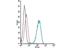 Cell surface detection of PLXNA1 by indirect flow cytometry in live intact human THP-1 monocytic leukemia cells: (black line) Cells.