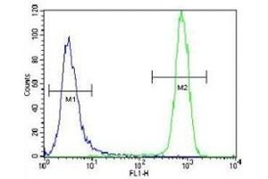 c-Kit antibody flow cytometric analysis of NCI-H460 cells (green) compared to a negative control cell (blue).