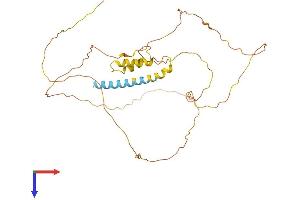 AlphaFold protein structure predicition of Mouse Recombinant Prrt2 Protein, UniprotID E9PUL5
