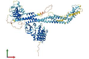 AlphaFold protein structure predicition of Human Recombinant DSTYK Protein, UniprotID Q6XUX3