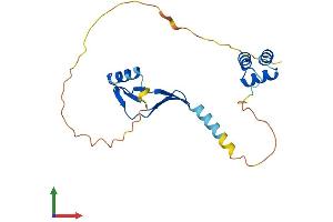 AlphaFold protein structure predicition of Mouse Recombinant Naca Protein, UniprotID Q60817
