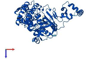AlphaFold protein structure predicition of Human Recombinant BLMH Protein, UniprotID Q13867