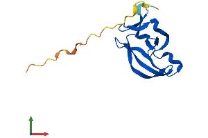 AlphaFold protein structure predicition of Human Recombinant YPEL4 Protein, UniprotID Q96NS1