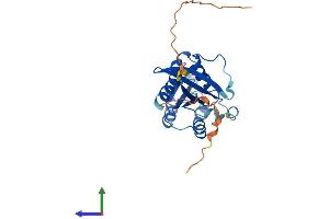 AlphaFold protein structure predicition of Human Recombinant RAB33B Protein, UniprotID Q9H082