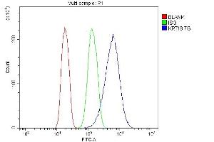 Flow Cytometry analysis of A431 cells using anti- Cytokeratin 18 antibody (ABIN7600573). (Cytokeratin 18 anticorps  (AA 204-430))