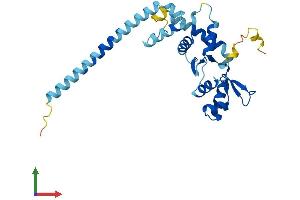 AlphaFold protein structure predicition of Human Recombinant SNF8 Protein, UniprotID Q96H20