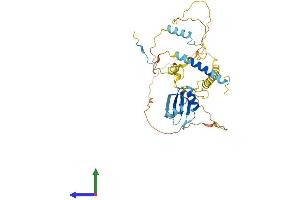 AlphaFold protein structure predicition of Mouse Recombinant Nelfe Protein, UniprotID P19426