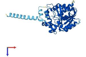 AlphaFold protein structure predicition of Mouse Recombinant Mest Protein, UniprotID Q07646